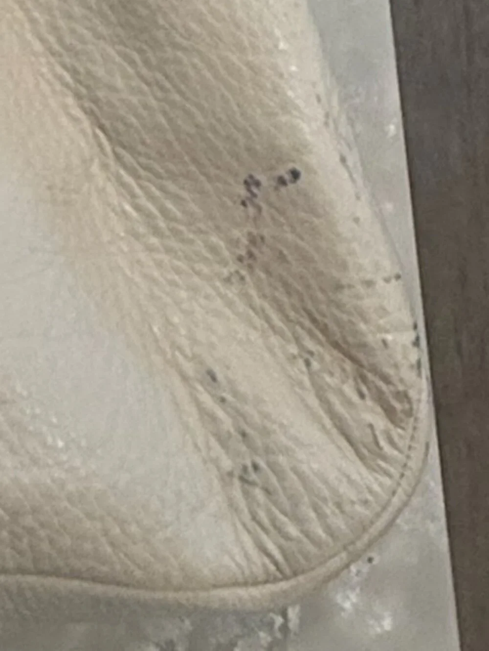 Coach Hobo Bag